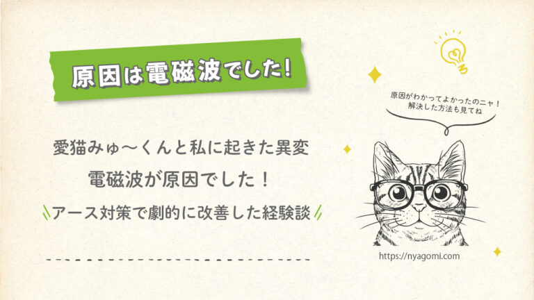 愛猫みゅ～くんと私に起きた体調不良、原因は電磁波でした！アース対策で改善した体験談